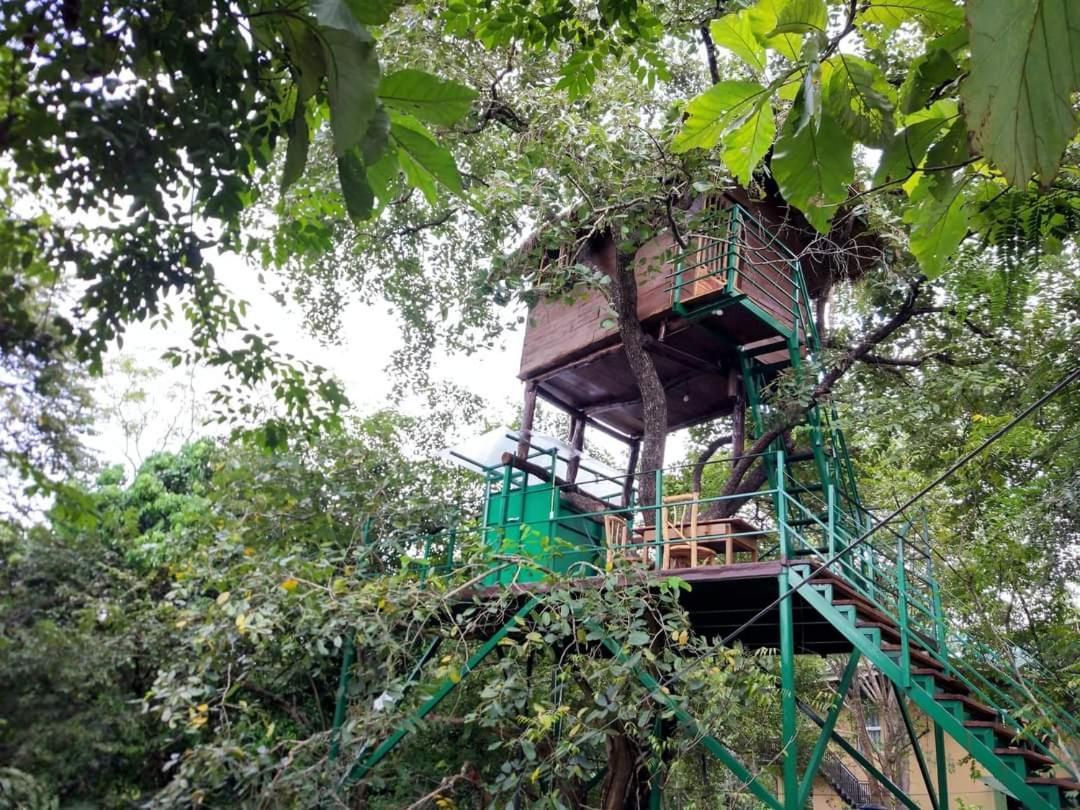 Wildescape Polonnaruwa Villa Exterior foto