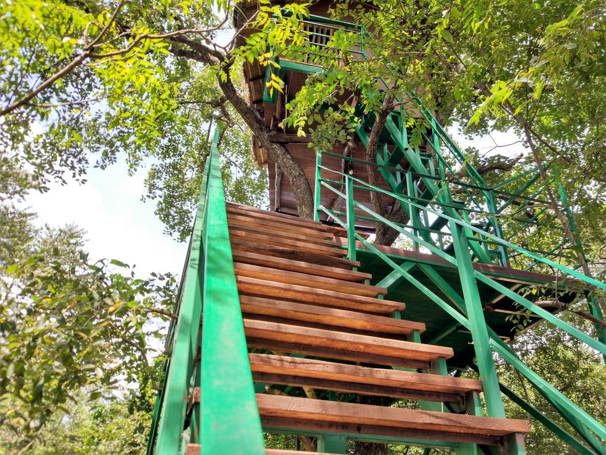Wildescape Polonnaruwa Villa Exterior foto
