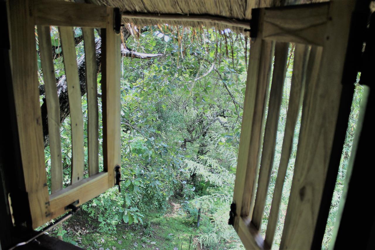 Wildescape Polonnaruwa Villa Exterior foto