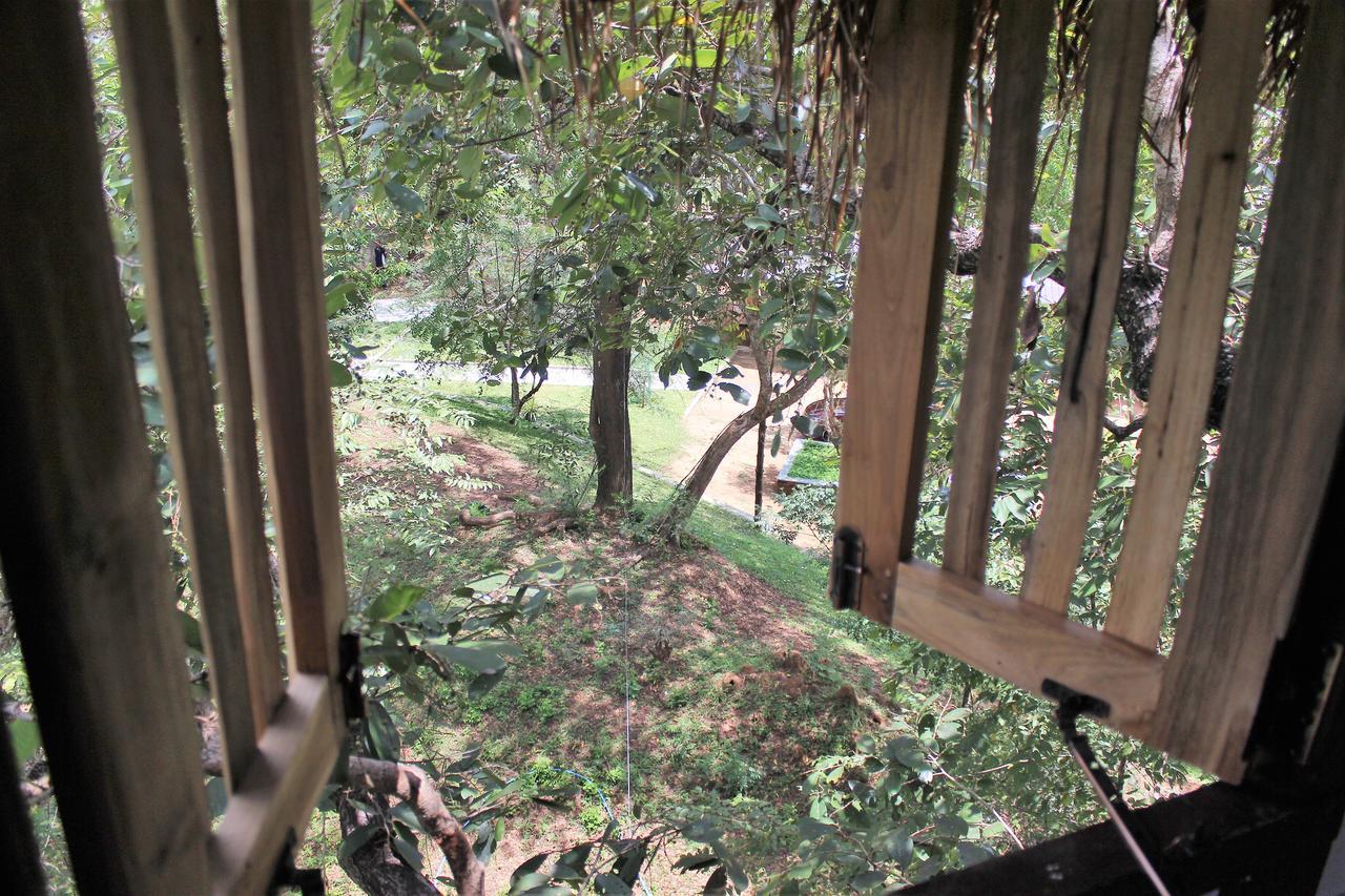 Wildescape Polonnaruwa Villa Exterior foto